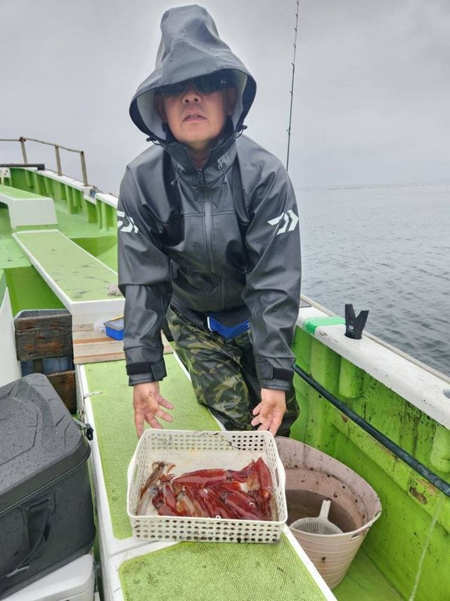 マルイカ(ケンサキイカ)