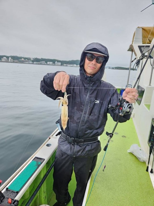 マルイカ(ケンサキイカ)