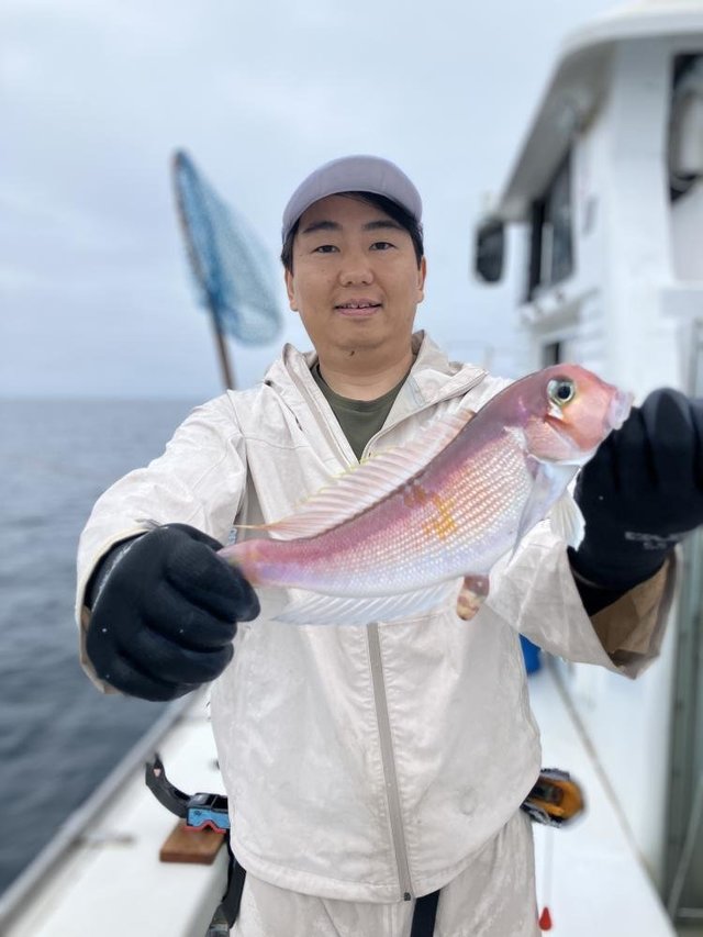 アマダイ(アカアマダイ)