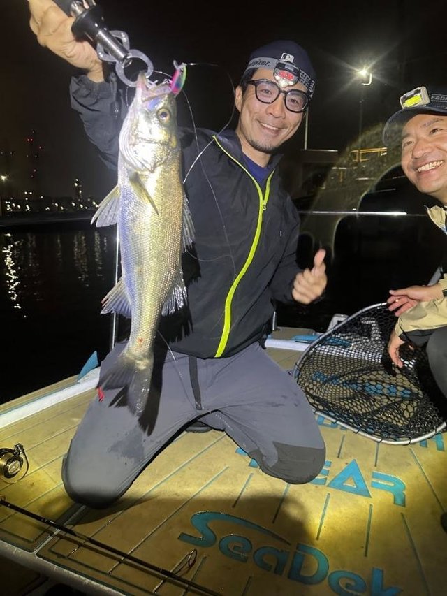 シーバス(スズキ)