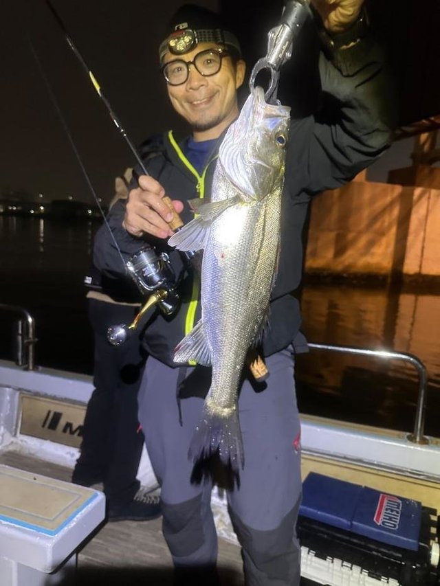 シーバス(スズキ)