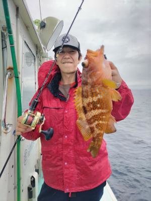 アコウ(キジハタ)