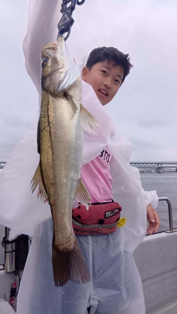 シーバス(スズキ)