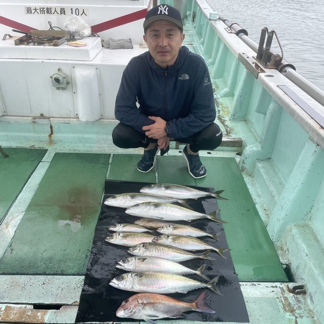 マダイ・マアジ・ハマチ(ブリ)・イサキ・マサバ