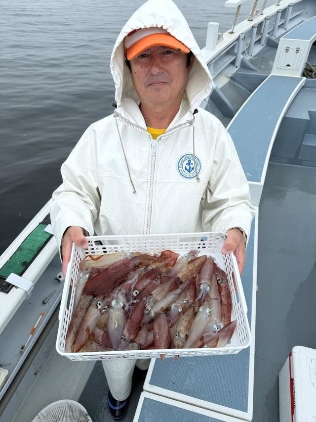 マルイカ(ケンサキイカ)