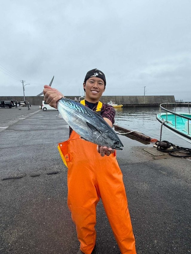 スマガツオ(スマ)