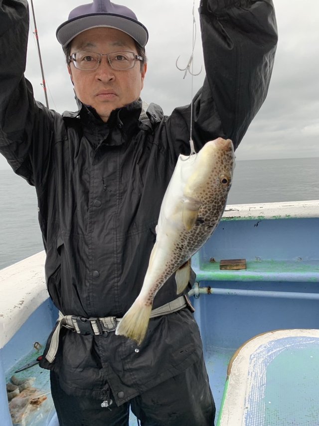 ショウサイフグ