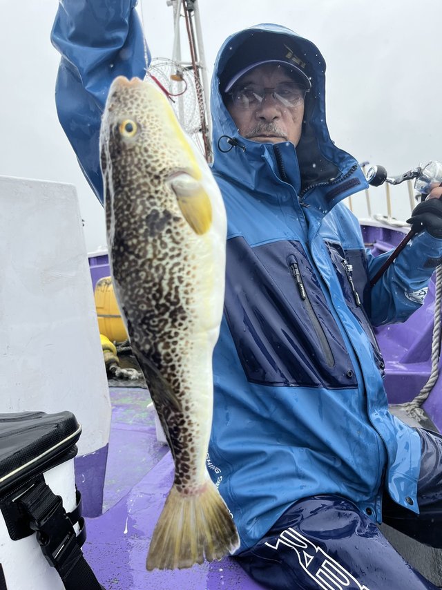 ショウサイフグ