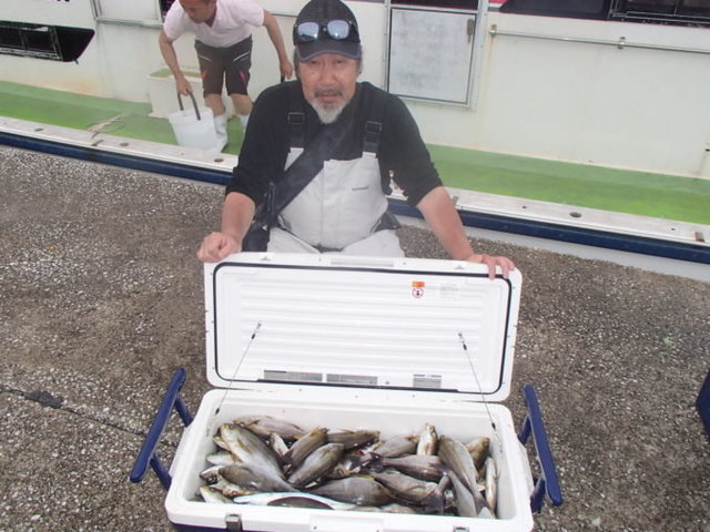 マアジ・イサキ