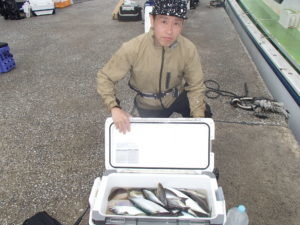 マアジ・イサキ