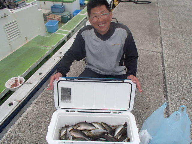 マアジ・イサキ