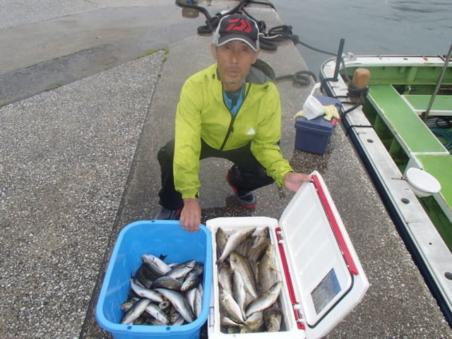 マアジ・イサキ