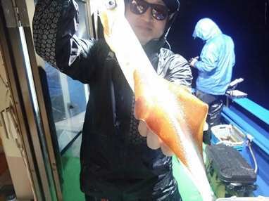 マイカ(ケンサキイカ)