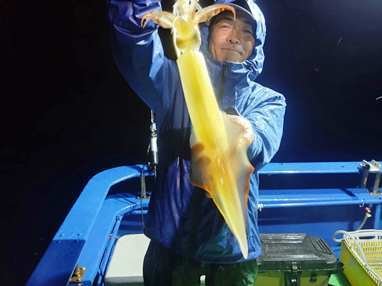 マイカ(ケンサキイカ)