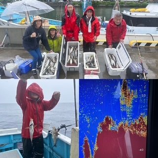 マアジ・ウメイロ・タカベ・イサキ