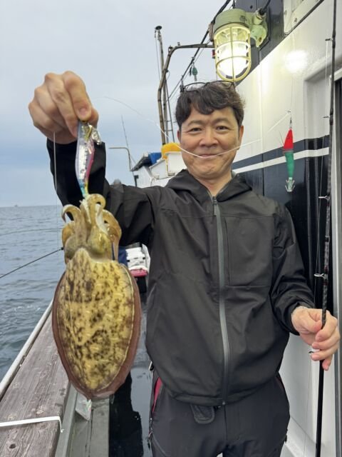 モンゴウイカ(カミナリイカ)