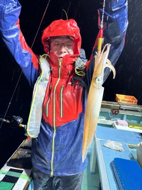 マイカ(ケンサキイカ)