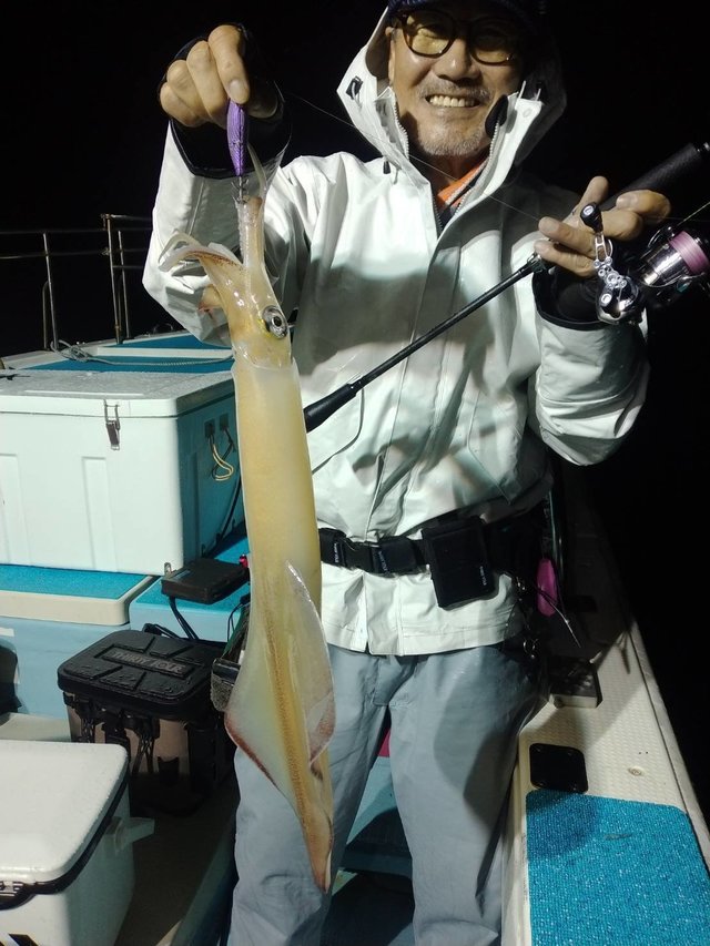 イカ(ヤリイカ)