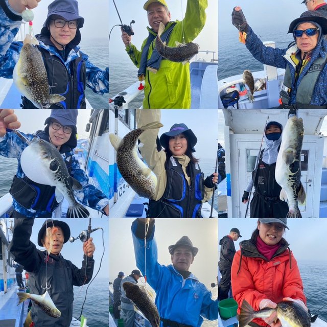 ショウサイフグ