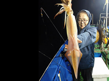 マイカ(ケンサキイカ)