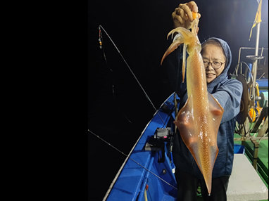 マイカ(ケンサキイカ)