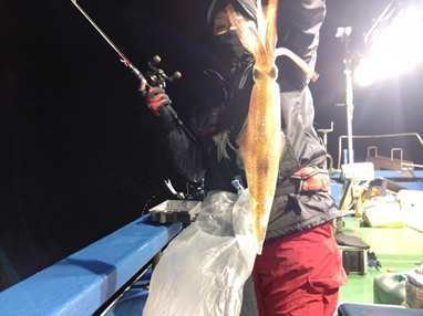 マイカ(ケンサキイカ)