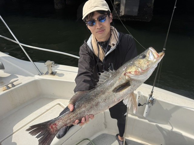 シーバス(スズキ)