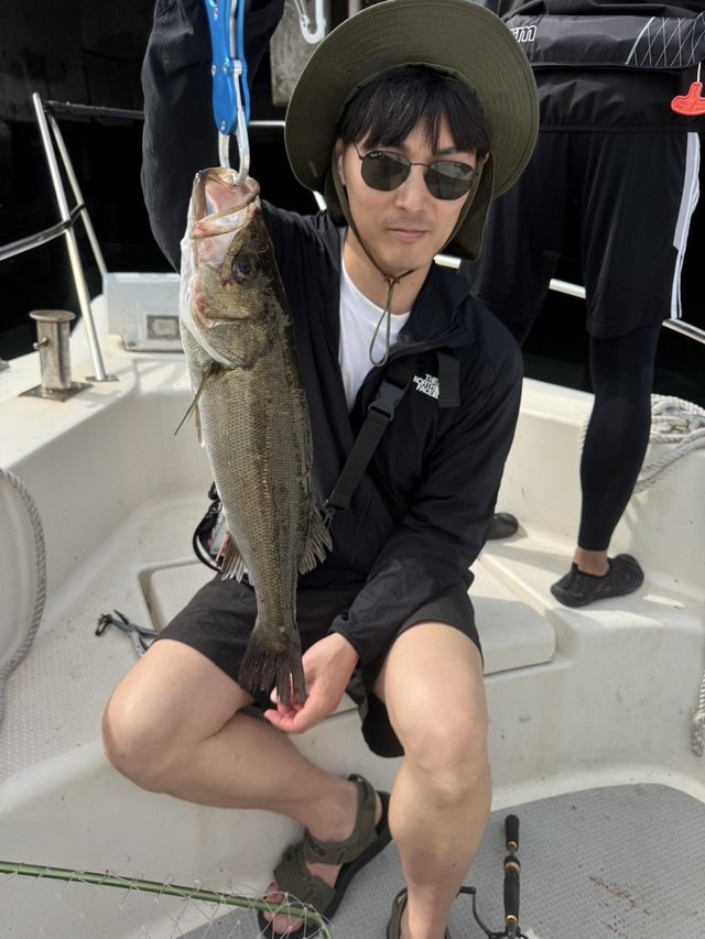 シーバス(スズキ)