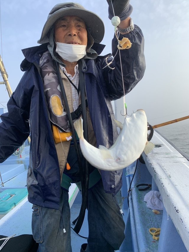 ショウサイフグ