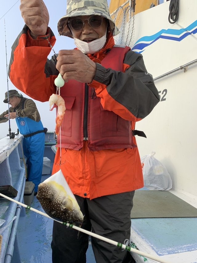 ショウサイフグ