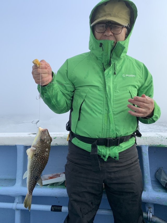 ショウサイフグ