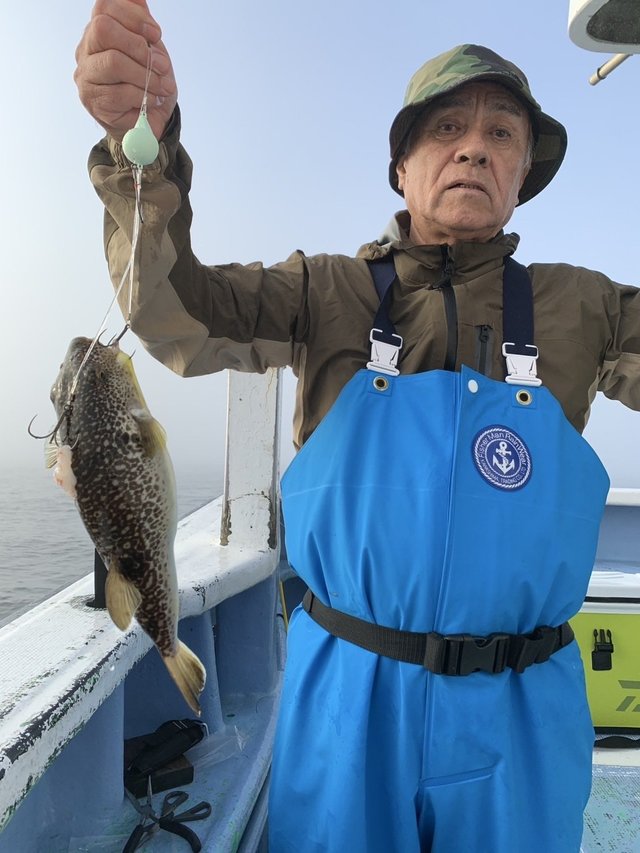 ショウサイフグ