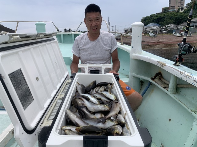 イサギ(イサキ)