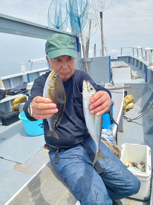 アジ(マアジ)・イサキ