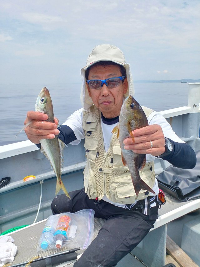 アジ(マアジ)・イサキ