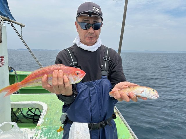 イトヨリ(イトヨリダイ)