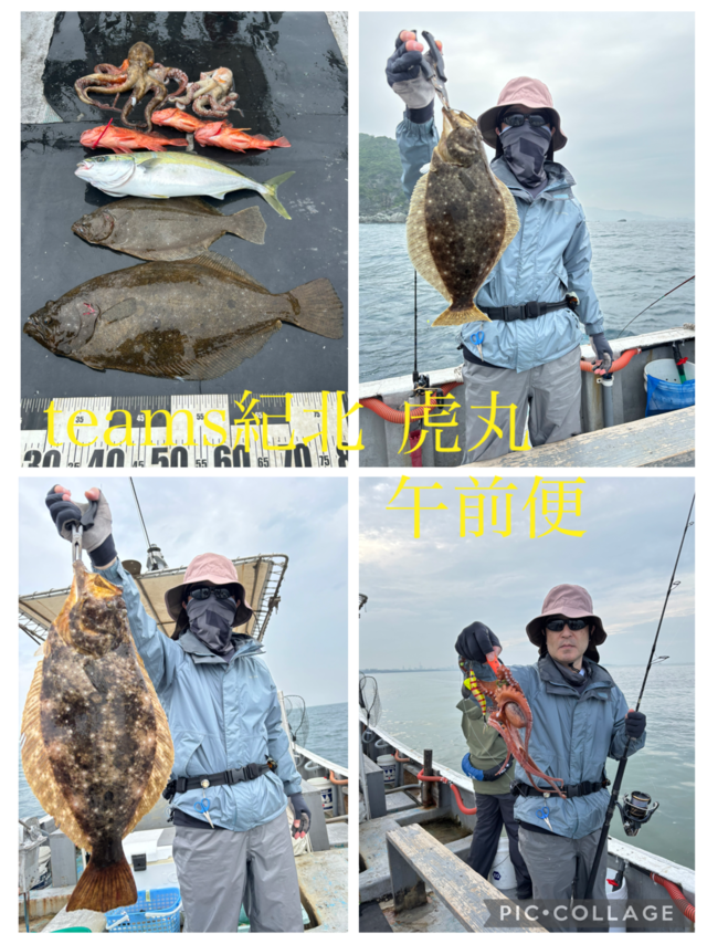 ハマチ(ブリ)・ガシラ(カサゴ)・ヒラメ・タコ(マダコ)