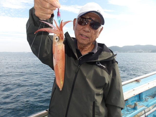 マルイカ(ケンサキイカ)