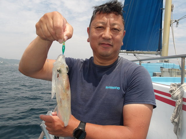 マルイカ(ケンサキイカ)