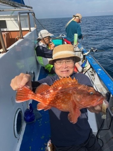 カンコ(ウッカリカサゴ)