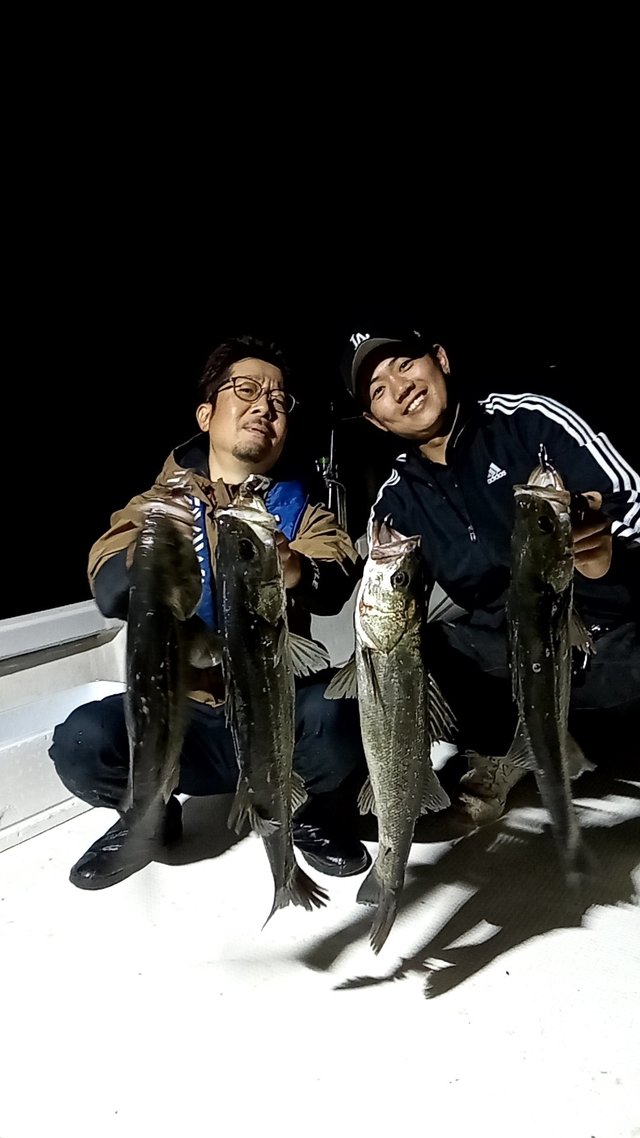 シーバス(スズキ)