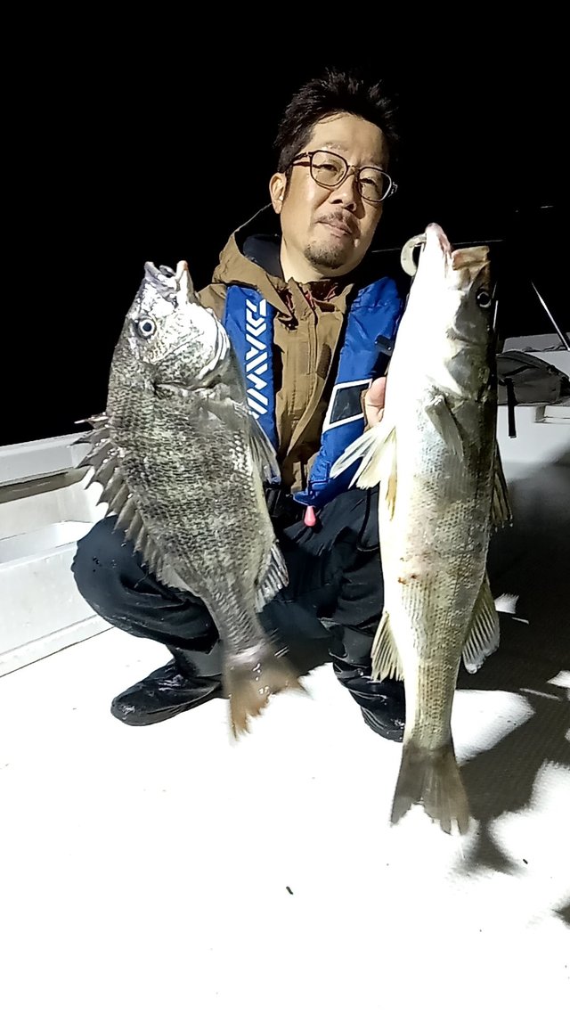 クロダイ・シーバス(スズキ)