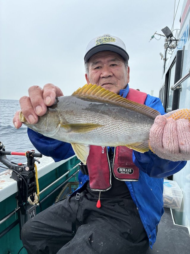 イサギ(イサキ)