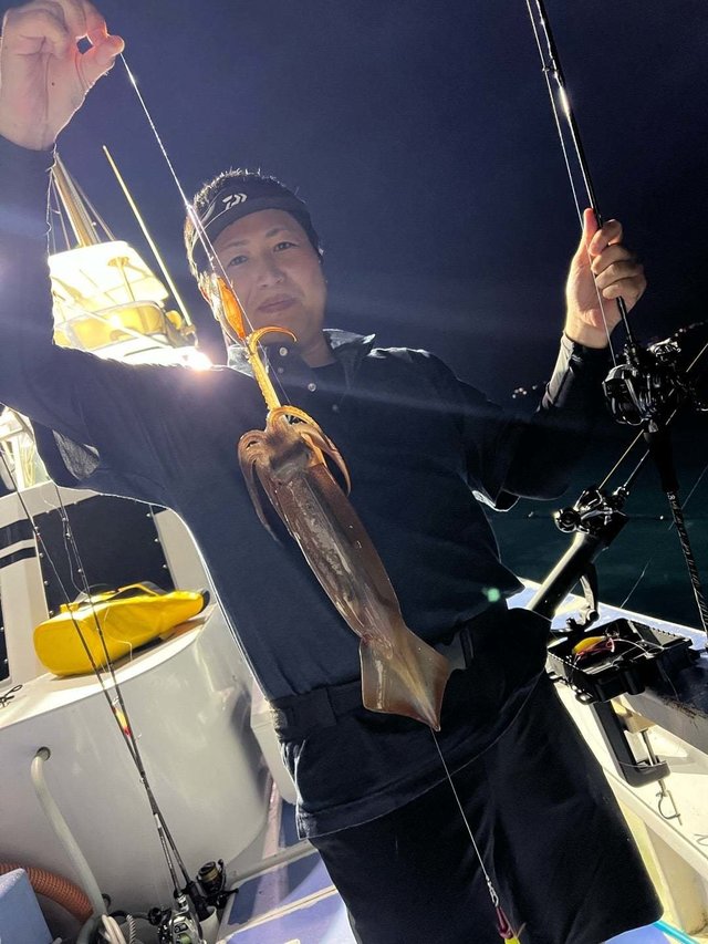 ムギイカ(スルメイカ)