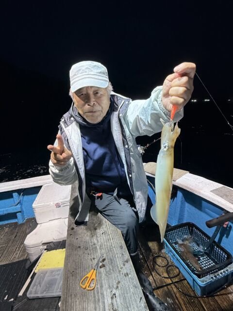 マイカ(ケンサキイカ)