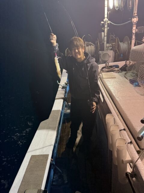 マイカ(ケンサキイカ)