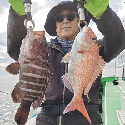 マダイ・ハタ(マハタ)