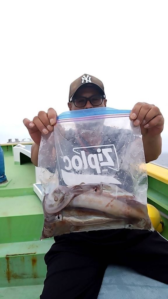 ムギイカ(スルメイカ)