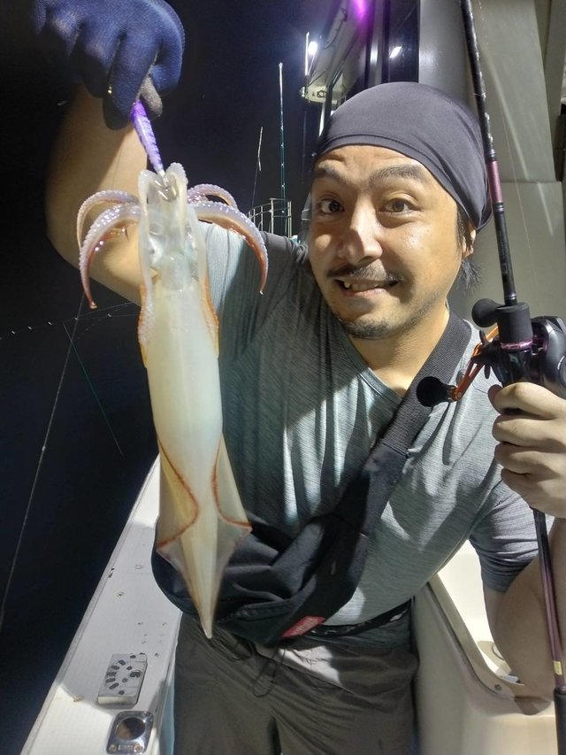 イカ(ヤリイカ)