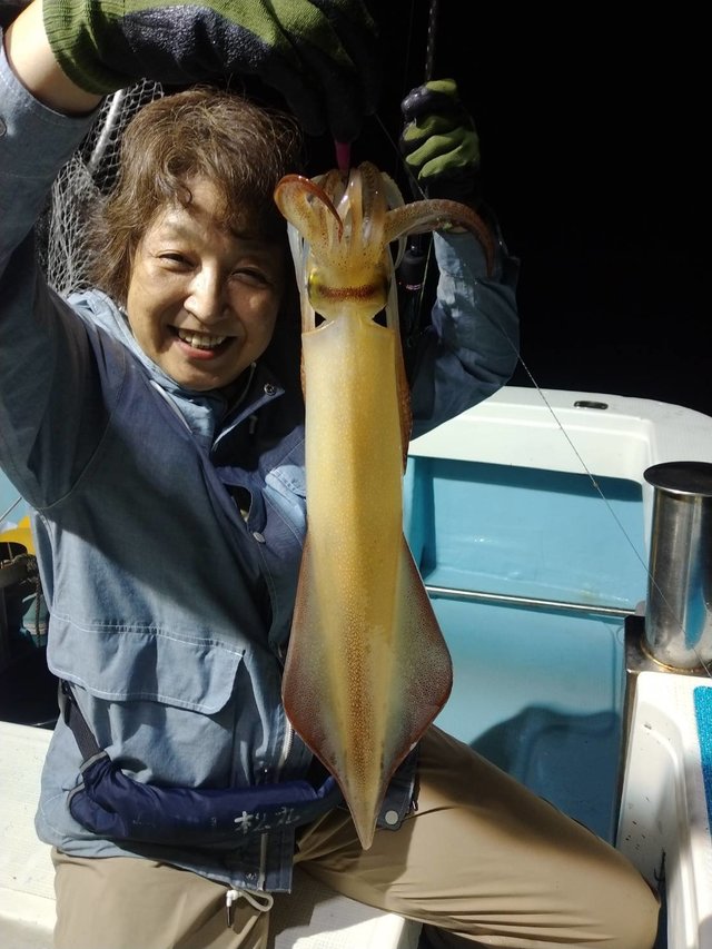 イカ(ヤリイカ)